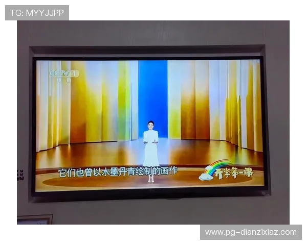 第1频道高清直播实时在线观看入口